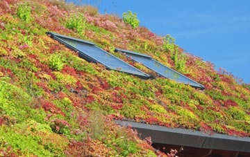 Thockrington living roof systems