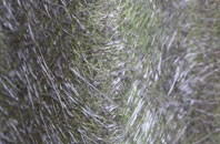 Thockrington fibreglass roof work